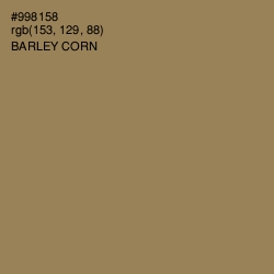 #998158 - Barley Corn Color Image